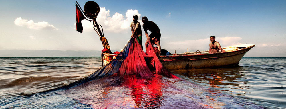 Chine le meilleur Filets de pêche de HDPE en ventes